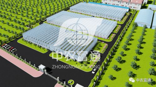 全力打造精品工程 2021年重点建设项目盘点